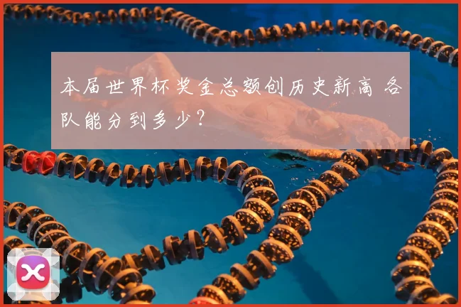 本届世界杯奖金总额创历史新高 各队能分到多少？